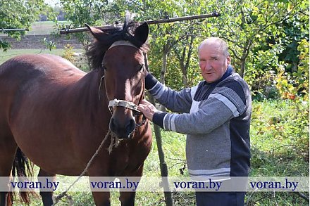 Корни самой большой семьи Радунщины — в Папишках
