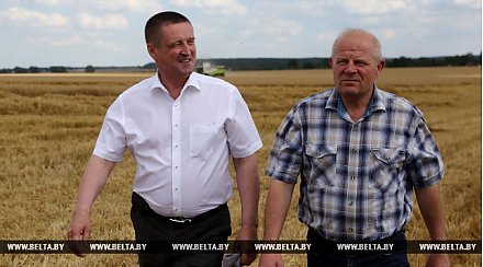 Министр сельского хозяйства ознакомился с ходом уборочной кампании на Гродненщине