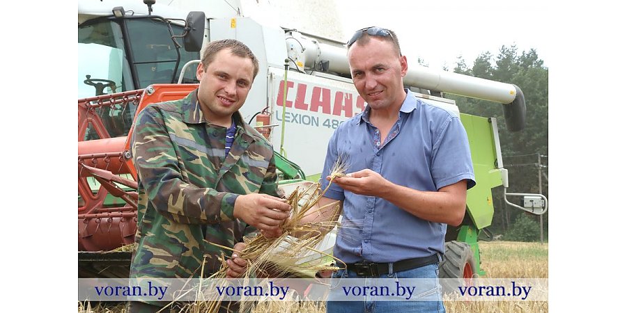 Легли в закрома первые тонны зерна