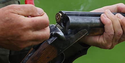 Охота на самцов вальдшнепа открыта в Беларуси