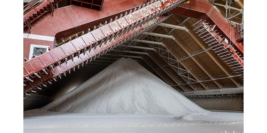 Индия планирует приобрести у Беларуси 1 млн т калийных удобрений в обход западных санкций