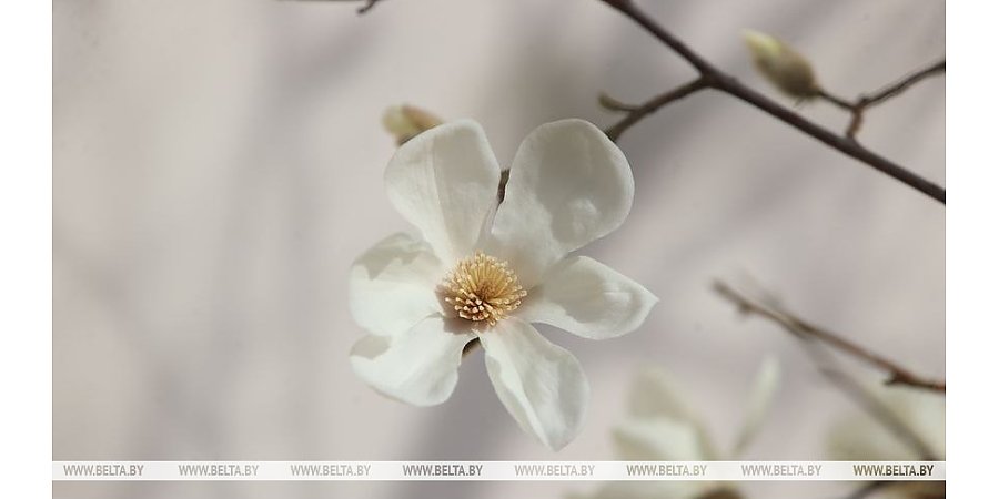 До +15°С и кратковременные дожди. Какой будет погода в понедельник