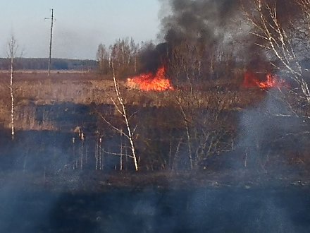 “Огненный” день службы 101. Спасатели Вороновского района 6 марта пять раз выезжали на пожары