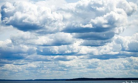 В МЧС напомнили, чем опасен сильный ветер