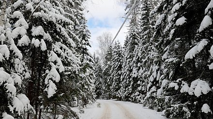 Облачно и до -13°С будет в Беларуси 10 февраля