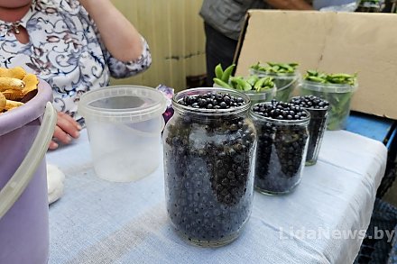 Картошка дешевеет, «золотая» черника и лисички на каждом шагу