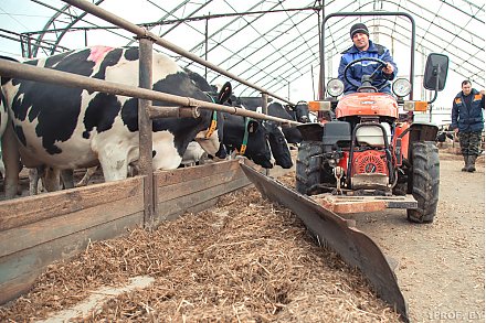 В Беларуси расширен перечень товаров, на которые установлено регулирование цен