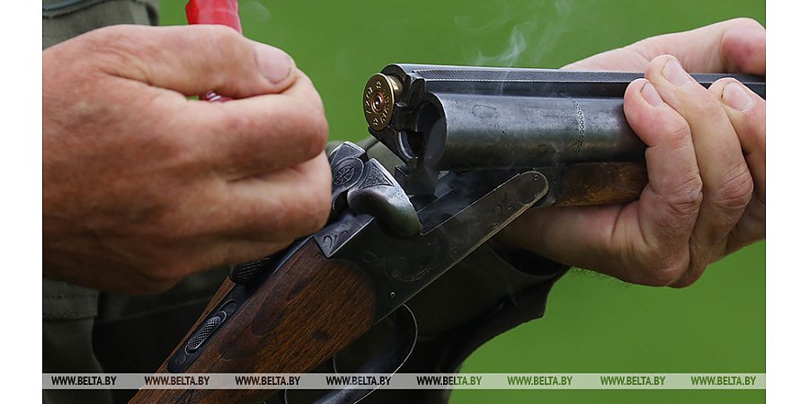 Сезон охоты на бекаса стартовал в Беларуси