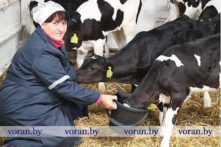 Вести Вороновщины