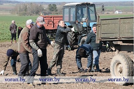 Не дожидаясь субботника многие трудовые коллективы Вороновщины приступили к наведению порядка