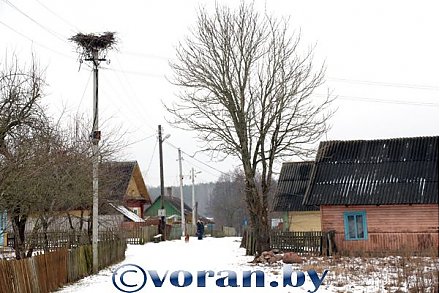 Вяскоўцы. Даўкшаны...