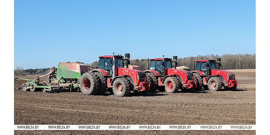 В Беларуси засеяно 40% площадей яровых культур
