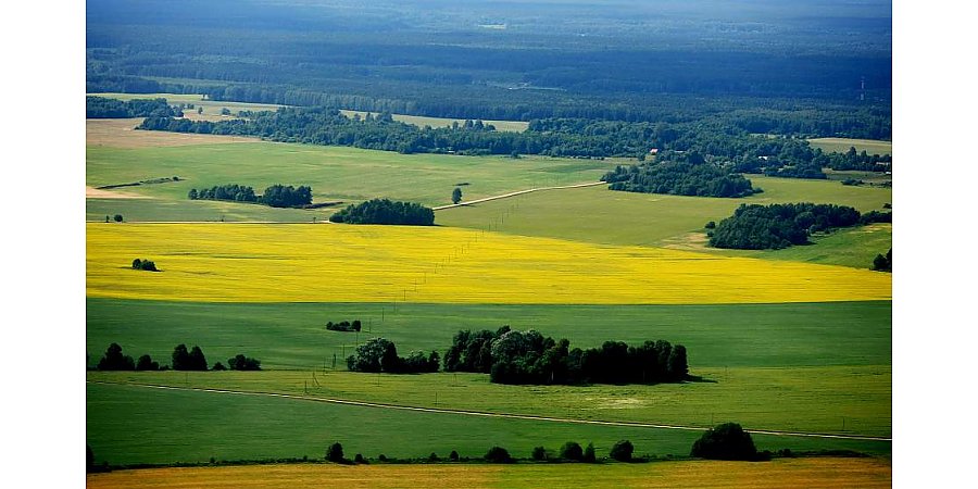 Национальная академия наук Беларуси объявила конкурс творческих работ, посвященный Году народного единства