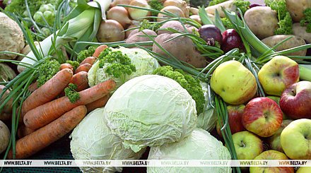 МАРТ установил предельные розничные цены на плодоовощную продукцию по госзаказу