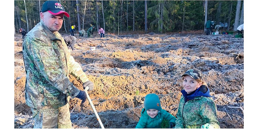 Более 43 тыс. белорусов уже приняли участие в акции "Дай лесу новае жыццё!"