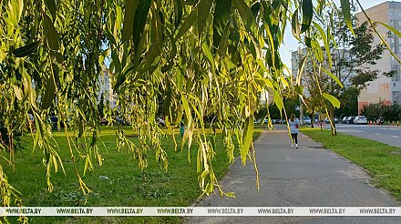 Жаркая и без осадков погода ожидается сегодня в Беларуси