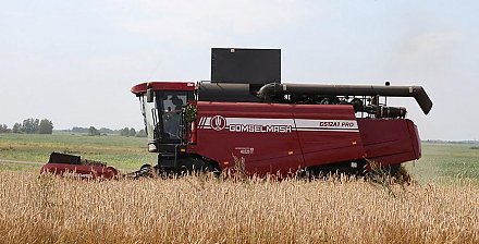 Белорусские аграрии намолотили более 3,5 млн тонн зерна