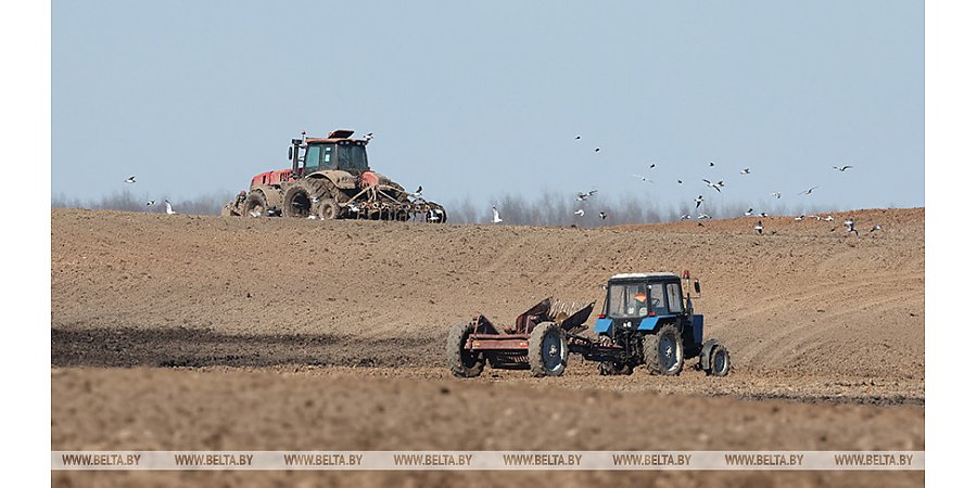 Сев ранних яровых в Беларуси завершили на более чем 90%