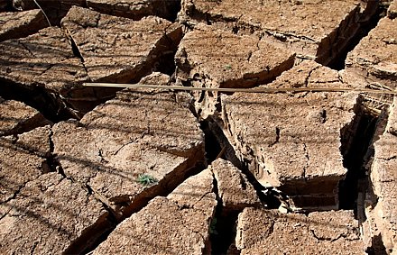 ООН: +2°C – и массовый голод на Земле неизбежен