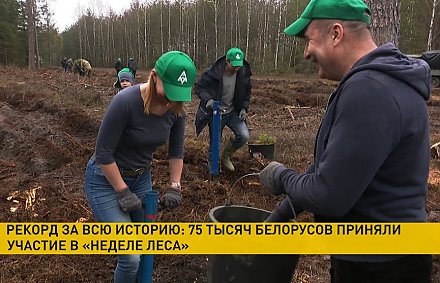 В акции «Неделя леса» приняли участие 75 тысяч белорусов