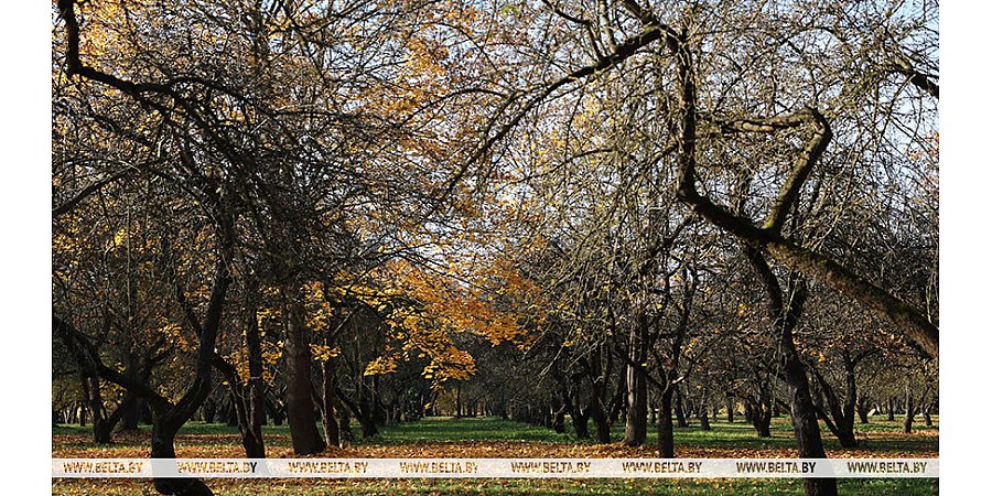 Облачно с прояснениями и до +12°С. Какой будет погода в Беларуси сегодня