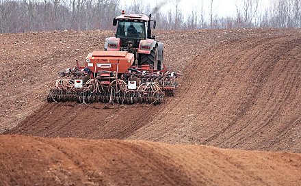 Каждый ответственен за результат: Эксперты — о дисциплине и качестве государственного управления