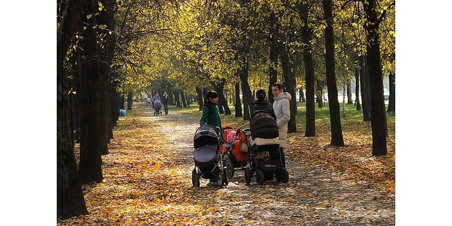 Как изменятся выплаты роженицам и пособия на детей старше 3 лет с 1 ноября 2023 г.