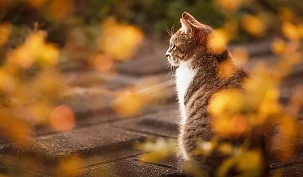 До +28°С градусов тепла ожидается в Беларуси на этой неделе