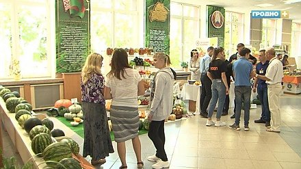 Международный форум овощеводов проходит в Гродно