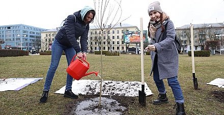 Сегодня в Беларуси пройдет республиканский субботник