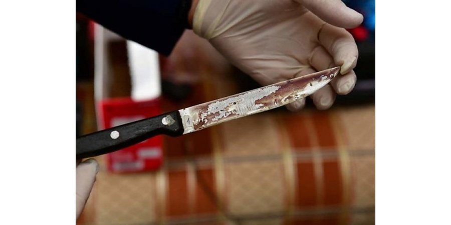 Застолье закончилось поножовщиной. Суд Вороновского района вынес приговор