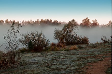 Ночные заморозки прогнозируются местами в Беларуси 22 октября