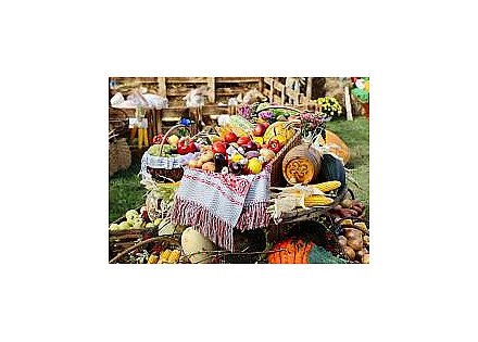 «Бацькава булка», «Павловский каравай» и сморгонские баранки. Чем колоритные подворья всех районов области удивляют гостей «Дажынак-2025»