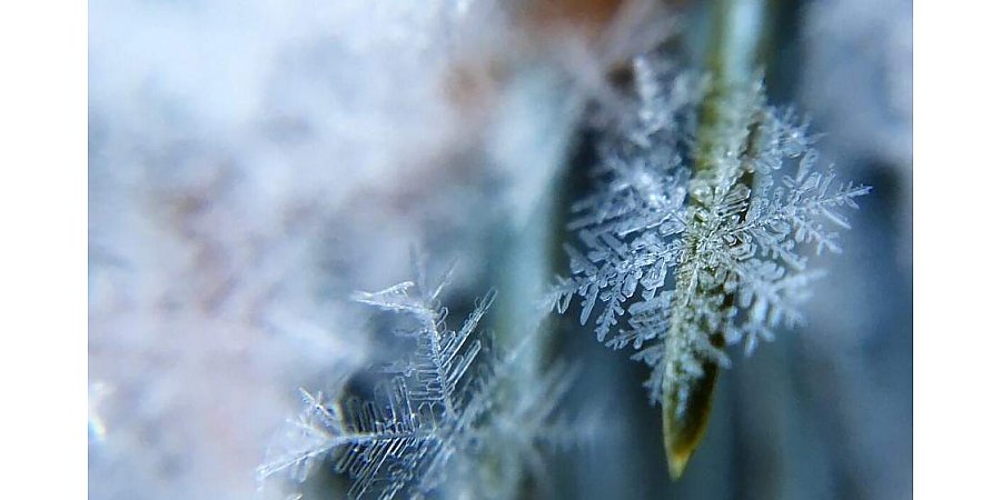 Снег и легкий мороз. Какой погоды ждать в Беларуси 4 февраля