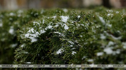 Оранжевый уровень опасности из-за гололеда объявлен в Беларуси 14 декабря