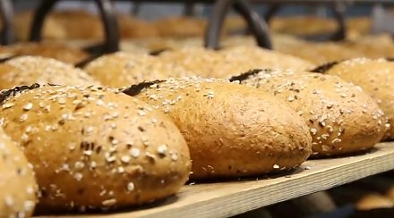 Интернет-издание, опубликовавшее статью о таракане в булочке «Любаша», разместило опровержение на свой материал