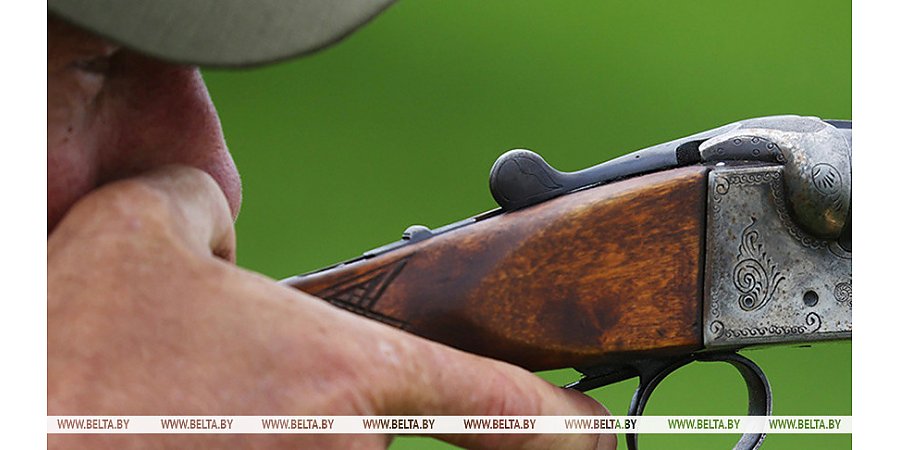 Хороший сервис и разнообразие видов. Как развивается охотничий туризм в Беларуси