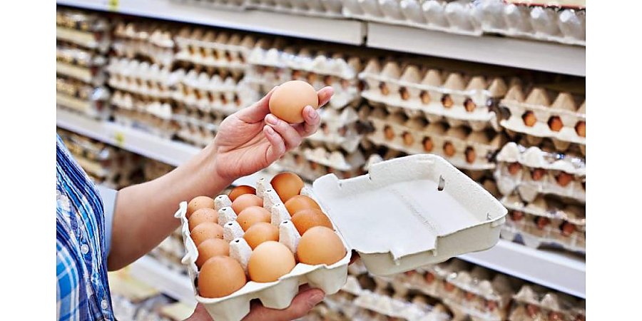 МАРТ запретил продажу в магазинах куриных яиц, на упаковке которых содержится информация «эко яйца»