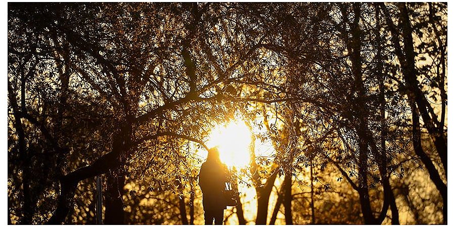 Для кого 13 мая будет нерабочим днем, пояснили в Минтруда