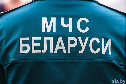 В МЧС напомнили о факторах опасности при усилении ветра