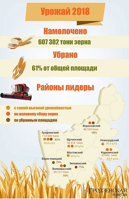 Рубеж в 600 000 тонн по намолоту зерна преодолели аграрии Гродненщины (+инфографика)