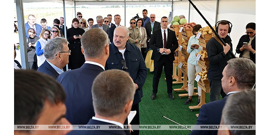 Александр Лукашенко о хранении и реализации картофеля: нужно на полную катушку подключать торговые сети
