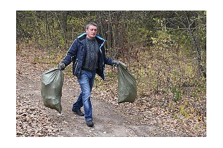 Жителей Гродненщины призывают 7 октября присоединиться к акции «Чистый лес»