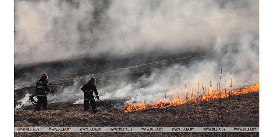 В Беларуси спасатели за сутки потушили 86 пожаров травы и кустарников