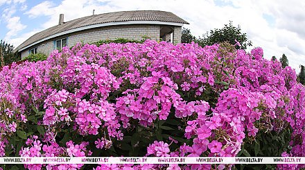 Теплая погода с дождями и грозами ожидается сегодня в Беларуси