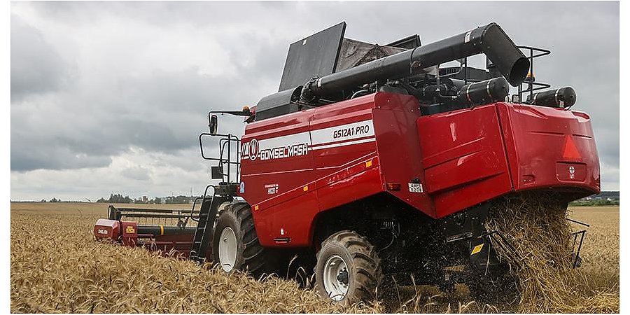 В Беларуси намолочено более 530 тыс. тонн озимого рапса