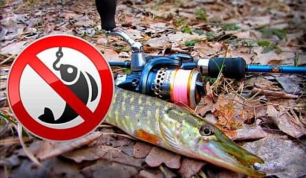 Запрет на ловлю щуки, ограничение продаж некоторых лекарств, переход на летнюю резину: что изменится в стране с 1 марта