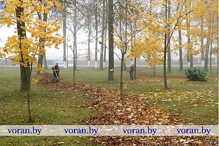 На Вороновщине — разбор лиственных полетов