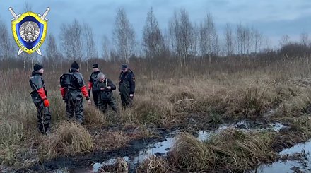 СК назвал предварительную причину смерти пропавшего в Березинском районе ребенка
