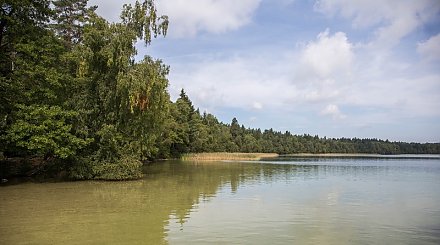 Купание в озере Свитязь запрещено